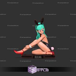 Bulma Bunny Sitting 3D Print Files