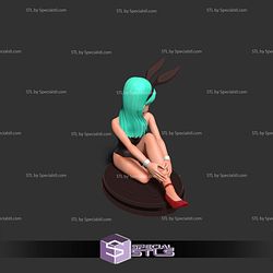 Bulma Bunny Sitting 3D Print Files