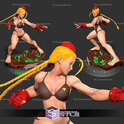 Cammy Bikini Ready to Fight 3D Print Files