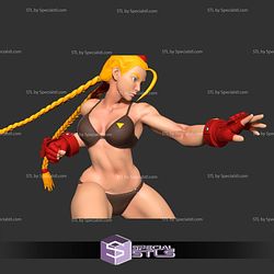 Cammy Bikini Ready to Fight 3D Print Files