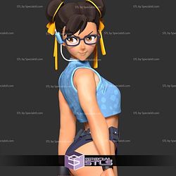 Chun Li Looked Back 3D Print Files