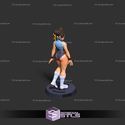 Chun Li Looked Back 3D Print Files