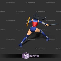 Wonder Woman Stylized Battle 3D Print Files