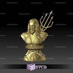 Aquaman Golden Bust 3D Print Files