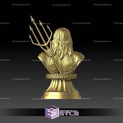 Aquaman Golden Bust 3D Print Files