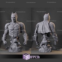 Batman Dark Knight Bust 3D Print Files