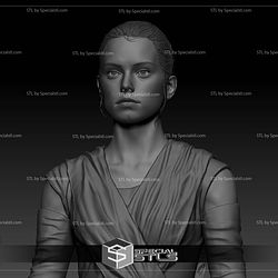 Daisy Ridley Rey Star Wars Bust 3D Print Files