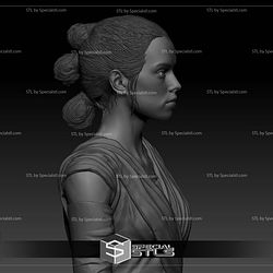 Daisy Ridley Rey Star Wars Bust 3D Print Files