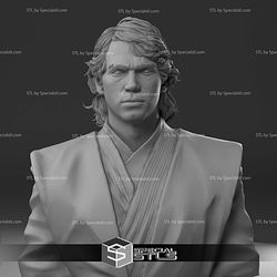 Hayden Christensen Anakin Skywalker Bust 3D Print Files