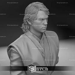 Hayden Christensen Anakin Skywalker Bust 3D Print Files