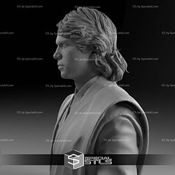 Hayden Christensen Anakin Skywalker Bust 3D Print Files