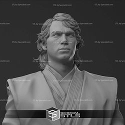 Hayden Christensen Anakin Skywalker Bust 3D Print Files