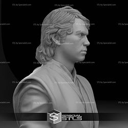 Hayden Christensen Anakin Skywalker Bust 3D Print Files