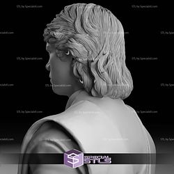 Hayden Christensen Anakin Skywalker Bust 3D Print Files