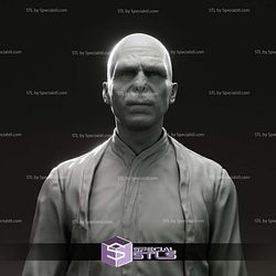 Ralph Fiennes Voldemort Harry Potter Bust 3D Print Files