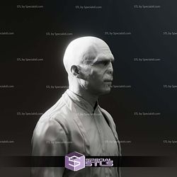 Ralph Fiennes Voldemort Harry Potter Bust 3D Print Files