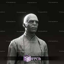 Ralph Fiennes Voldemort Harry Potter Bust 3D Print Files