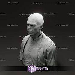 Ralph Fiennes Voldemort Harry Potter Bust 3D Print Files