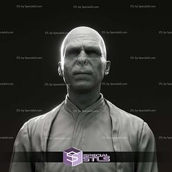 Ralph Fiennes Voldemort Harry Potter Bust 3D Print Files