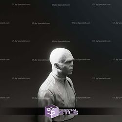 Ralph Fiennes Voldemort Harry Potter Bust 3D Print Files