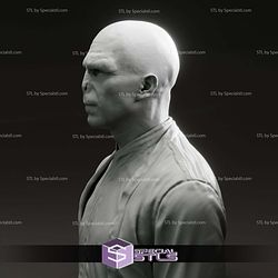 Ralph Fiennes Voldemort Harry Potter Bust 3D Print Files