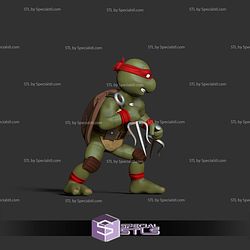 Raphael and Weapon Battle 3D Print Files