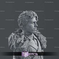 Richard Madden Robb Stark Bust 3D Print Files