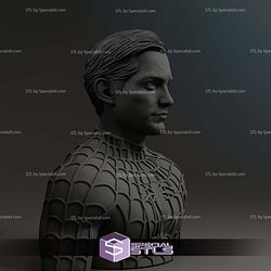 Tobey Maguire Peter Parker Spiderman Bust 3D Print Files