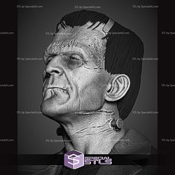 Frankenstein Portrait Bust 3D Print Files