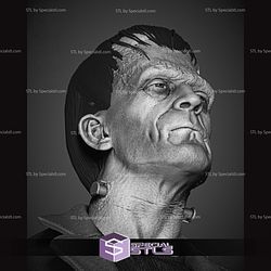 Frankenstein Portrait Bust 3D Print Files