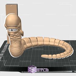 Flexi Alien Chest Burster Color 3D Print