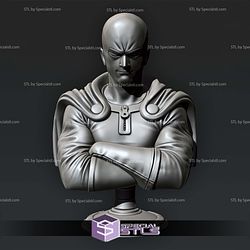 Saitama Serious Bust STL Files