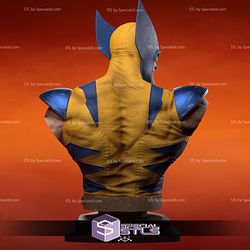 Wolverine Bust Deadpool Wolverine Movie STL Printer Files