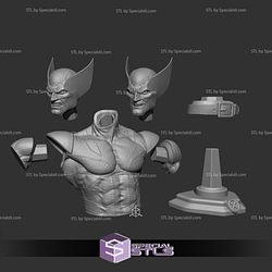 Wolverine Bust Deadpool Wolverine Movie STL Printer Files