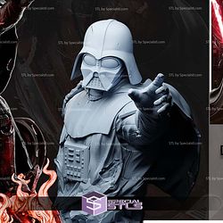 Embrace the Dark Darth Vader Bust 3D Print Files