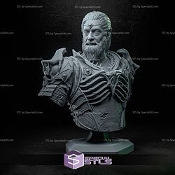 Ketheric Thorm Bust Baldurs Gate 3 3D Print Files