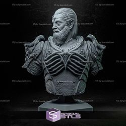 Ketheric Thorm Bust Baldurs Gate 3 3D Print Files