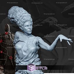 The Bride of Frankenstein Monster Bust 3D Print Files