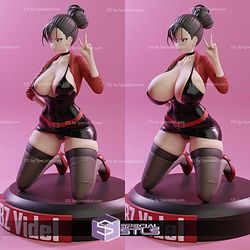 Videl Dragonball Z NSFW 3D Print Files