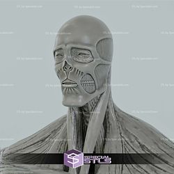 Armin Colossal Titan Walking 3D Print Files