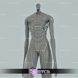 Armin Colossal Titan Walking 3D Print Files