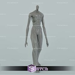 Armin Colossal Titan Walking 3D Print Files