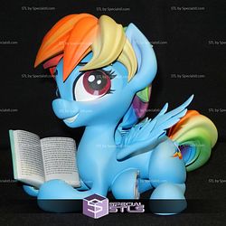 Rainbow Dash and Book 3D Print Files