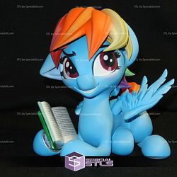 Rainbow Dash and Book 3D Print Files