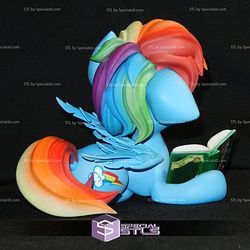 Rainbow Dash and Book 3D Print Files