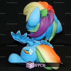 Rainbow Dash and Book 3D Print Files