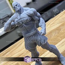 Sagat Basic Standing 3D Print Files