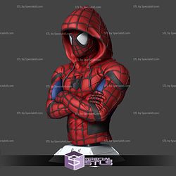 Spiderman Bust Hoodie 3D Print Files