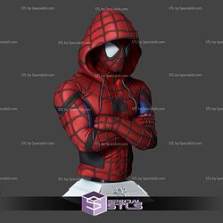 Spiderman Bust Hoodie 3D Print Files