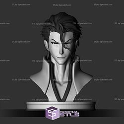 Basic STL - Aizen Bust